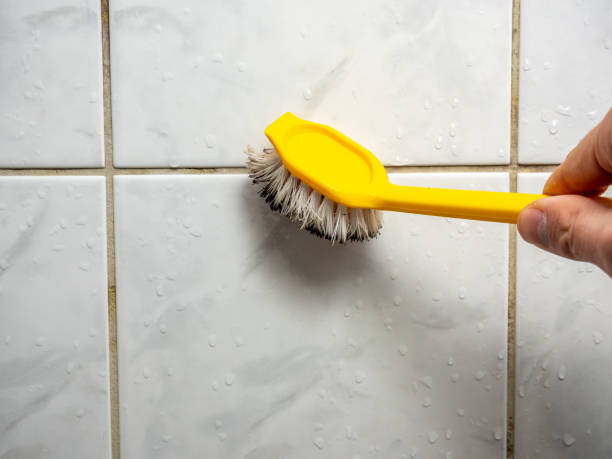 Best Black Mold Removal  in Clarks Summit, PA