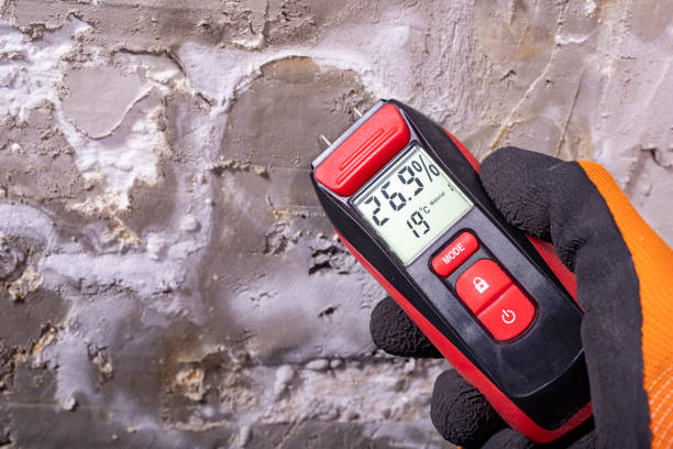 Reliable Clarks Summit, PA Mold Removal Solutions