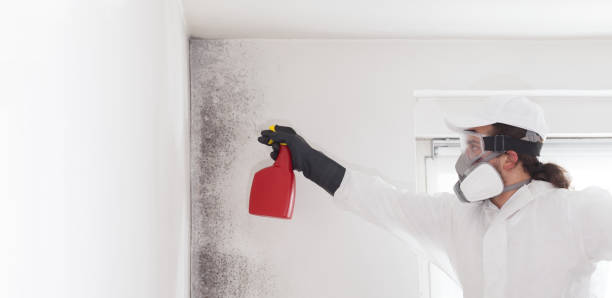 Crawl Space Mold Removal in Clarks Summit, PA