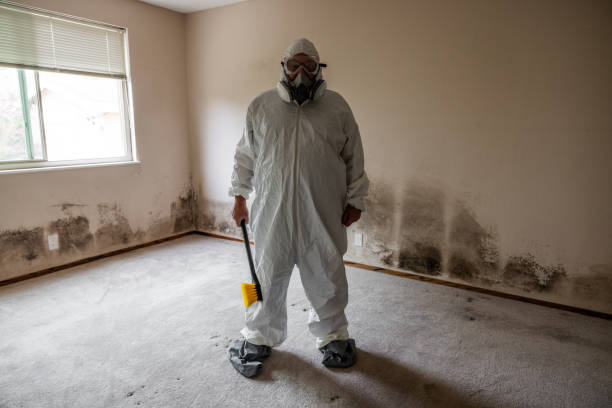 Best Office Mold Removal Services  in Clarks Summit, PA