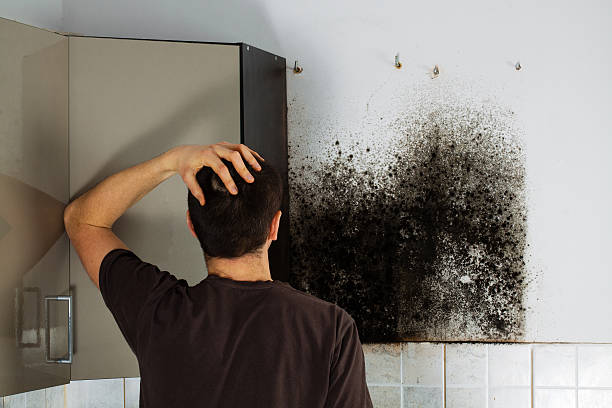 Best Crawl Space Mold Removal  in Clarks Summit, PA